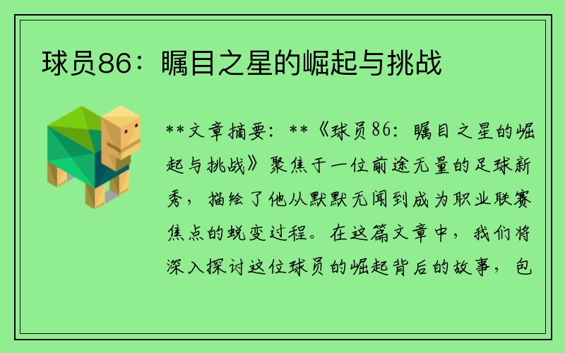 球员86：瞩目之星的崛起与挑战