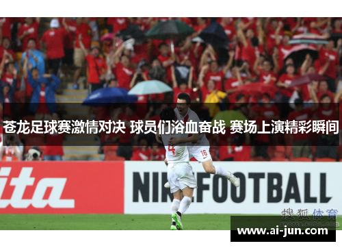 苍龙足球赛激情对决 球员们浴血奋战 赛场上演精彩瞬间