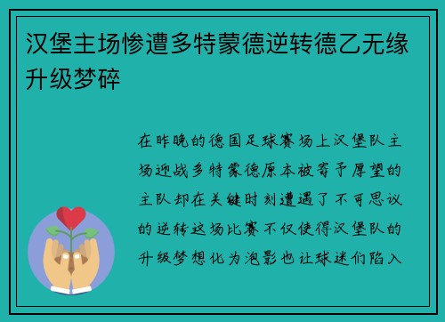 汉堡主场惨遭多特蒙德逆转德乙无缘升级梦碎